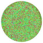 Brillbird Sand Dust 3