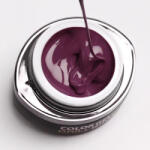 Brillbird Brush&Go színes zselé - GO 26 - 4, 5ml TF