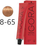 Schwarzkopf Igora Royal krémhajfesték 60ml - 8-65