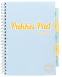 Pukka Pad Spirálfüzet, A4, vonalas, 100 lap, PUKKA PAD Pastel project book, vegyes szín (PUP2012V) (2012-PST)