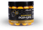 Nash Scopex Squid 2024 Yellow 20mm Pop Up 75gr (B6332)