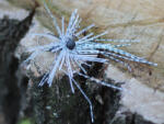 Rapture TG Finesse Rub Jig 2, 3gr #01 Wh/Bl-Prl/Blck Szoknyás Jig (188-27-014)
