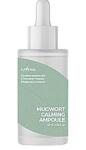 ISNTREE Tökéletlenség elleni ampullák Mugwort vonal Isntree kivonattal, 50ml
