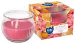 AURA Декоративна свещ с аромат aura flowers petals и горене 18 часа (sn69-428)