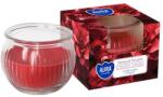 AURA Декоративна свещ с аромат aura sensual flowers и горене 18 часа (sn69-420)