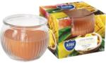 AURA Декоративна свещ с аромат aura juicy mango и горене 18 часа (sn69-366)
