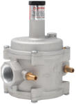 Everpro Regulator presiune gaz cu filtru, Everpro, DN20 (ALE-RG34FI)