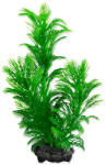 TETRA Decor Tetra Plantă Green Cabomba S 15cm