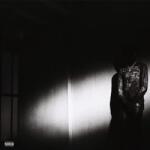 Destroy Lonely - No Stylist (LP) (0602448609007)