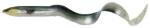 Savage Gear Shad Savage Gear 3D Real Eel, Green Silver, 15cm, 12g, 3buc/plic (F1.SG.63773)