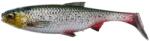 Savage Gear Shad Savage Gear 3D River Roach, Culoare GS, 10cm, 10g, 4buc/plic (F1.SG.74287)