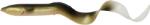 Savage Gear Naluca Savage Gear 3D Real Eel, Dirty Eel, 20cm, 27g, 2buc/plic (F1.SG.63778)