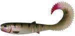 Savage Gear Shad LB Cannibal Curltail, Perch, 12.5cm, 10g, 3buc/plic (F1.SG.63810)