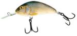 Salmo Vobler Salmo Hornet H9F RR, 9cm, 12g (84419130)
