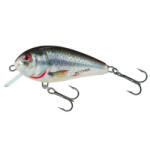 Salmo Vobler Salmo Butcher Sinking BR5S, Holographic Real Dace, 5cm, 7g (84445500)