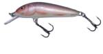 Salmo Vobler Salmo Minnow M7F RR, 7cm, 6g (84427130)