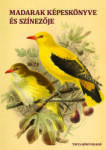 TINTA Könyvkiadó Madarak képeskönyve és színezője