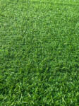 Gazon Covor Gazon Iarba Artificiala, LEISURE, Verde, 15 mm, Latime 1 m (LEISURE-15-115)