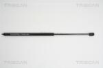 TRISCAN Amortizor capota TRISCAN 8710 23110 (8710 23110) - fixbox