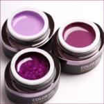 BrillBird Color Gel 5 ml