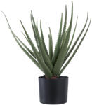 House Nordic Aloe Vera műnövény, zöld 51 cm (9501001) - geminiduo