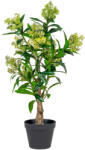 House Nordic Skimmia fa műnövény, zöld 75 cm (9501120) - geminiduo
