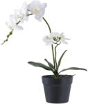House Nordic Orchidea műnövény, zöld/fehér 49 cm (9501003) - geminiduo