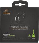 ORTEGA Nylon Concert (HN174398)