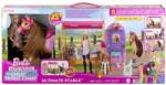 Barbie Mysteries Set Grajd (HXJ44) Papusa
