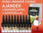  Nyári limonádé csomag ajándék limonádélappal és szívószállal - görögdinnyés design al