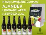  Nyári limonádé csomag ajándék limonádélappal és szívószállal - zöldalmás design al