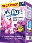 Gallus PROFESIONAL Color 6, 05 kg (110 mosás)