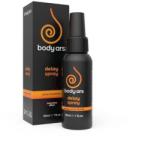 Body Ars Spray pentru Intarzierea Ejaculare Body Ars, Delay, 30 ml