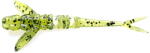 FishUp Flit 4.1cm #042 Watermelon Seed (4820194851112)