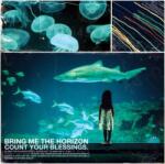 Bring Me The Horizon - Count Your Blessings (CD) (<![CDATA[4050538014501]]>)
