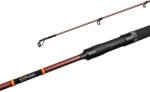 Delphin EXPLOZA HARD 210cm/60g/2 rész (101003135) - afishing