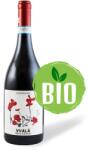 Caruso & Minini Nero d'Avola 2021 (BIO) - Caruso & Minini (Olaszország) (0, 75l)