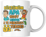  Köszönöm apa hogy lehetek a te pénzügyi fiú terhed bögre (apa_penzugyi_terhe_fiu_bogre)