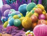 Nathan - Puzzle Cactus curcubeu - 2 000 piese Puzzle