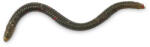Iron Claw Drop Stuff Crawler WM 7, 5cm / 22db (8326303)