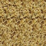 SERA Daphnia Snack 100 ml / 13 g