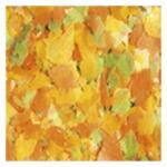 Tropical Pond Flakes 5L
