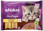 Whiskas Casserole Junior baromfi válogatás zselében 13 x (4 x 85g)