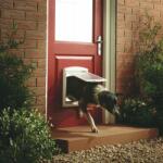 PetSafe Ajtó kutyáknak Original - közepes, fehér (AD-740EF)