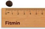 Fitmin Maintenance Mini Lamb & Rice 12 kg