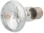 Repti Planet Daylight Basking Spot izzó 100W (007-41004)