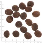 Wolfsblut Polar Night 2 kg