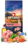 ONTARIO Adult Large Weight Control Turkey & Brown Rice 12 kg
