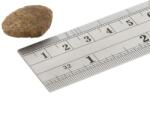 Fish4Dogs FINEST Salmon Adult Large 2 x 12 kg