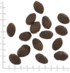 Wolfsblut Wild Pacific 2 kg